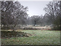 TQ2687 : Grounds of Kenwood House by Chris Gunns