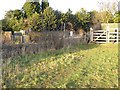 Attenborough Nature Reserve Path to railway crossing