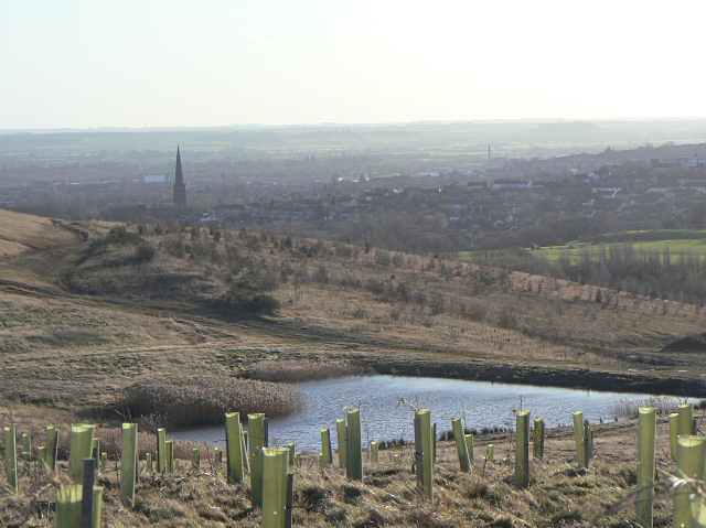 Gedling Colliery Spoil Tip Alan Murray Rust Geograph Britain And   1127261 58783e6e 