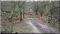 Signpost on Stanley Common