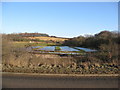 Ponds from Mansfield Road