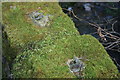 Bridge parapet, Upper Dean