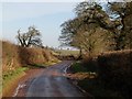 Lane approaching Rose Hill