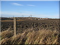 View across fields to Swallownest