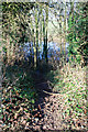 Muddy Path to the Trent