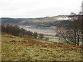 Rough Pasture above the Tay