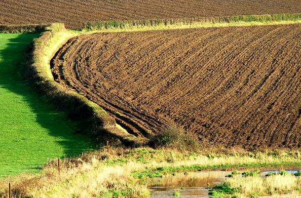 Ploughed fields near Comber (2)