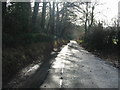 View along Rectory Lane towards Barham