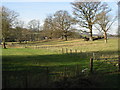 Park land to the west of Rectory Lane