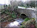 Bridge over Dawlish Water