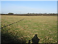 Grassland near Spodegreen Farm