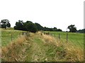 Timbercombe Bridleway