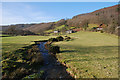 The Afon Melindwr near Old Goginan