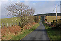 Minor road east of Pen-rhiw-newydd