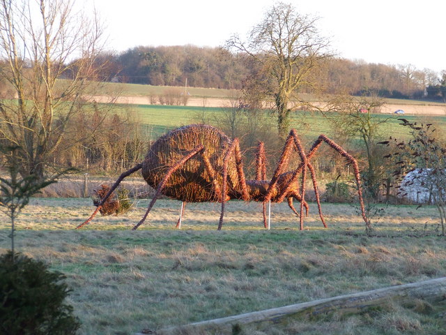 Spider in Suffolk © Keith Evans :: Geograph Britain and Ireland