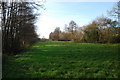 Filled in ponds in the Shortbrook valley at Maresfield