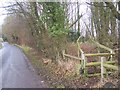 Footpath on Back Lane