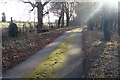 Winter afternoon sun on the lane to Moynes Court, Mathern