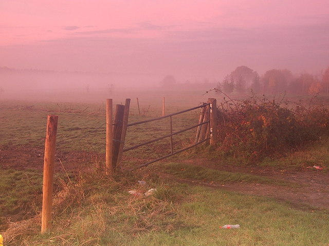Field gate near Brook Farm,Abridge