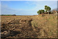 Debris-strewn Footpath