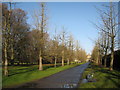 Bute Park, Cardiff