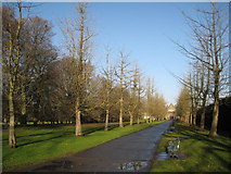 ST1776 : Bute Park, Cardiff by Philip Halling