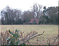 View across grassland to artist