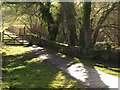 SX8158 : Dart Valley Trail by Derek Harper