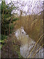 River at Playford Bridge