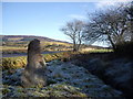 Standing stone near Nethermains Cottage