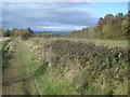 Track across Bromyard Downs