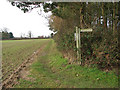 Path to Wood Dalling Road