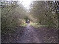 Hartshill Park Local Nature Reserve