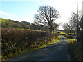 Lon gul ger Ffarmers / Narrow lane near Ffarmers