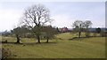 The Glebe Field, Heddon on the Wall