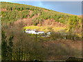 Fforest Blaen Rhisglog/ Blaen Rhisglog Plantation