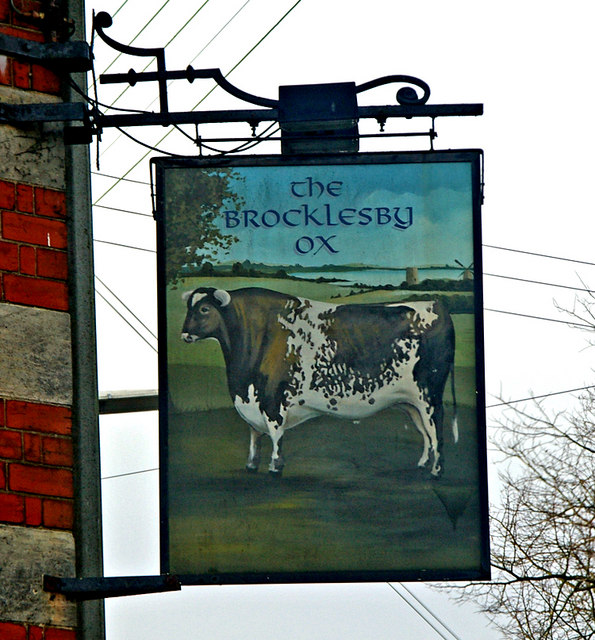 The Sign of The Brocklesby Ox