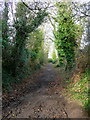 Footpath from the end of Cleeve Lane, Ross-on-Wye