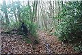 Sunken bridleway, Upper Harbledown