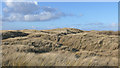 Dunes at Raven Meols Hills