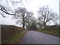 Mid Devon : Country Road