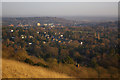 View from slopes of Reigate Hill