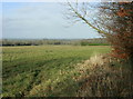 2009 : Looking north near Lucknam Park