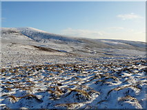 NC9416 : Winter at the head of Glen Loth by sylvia duckworth