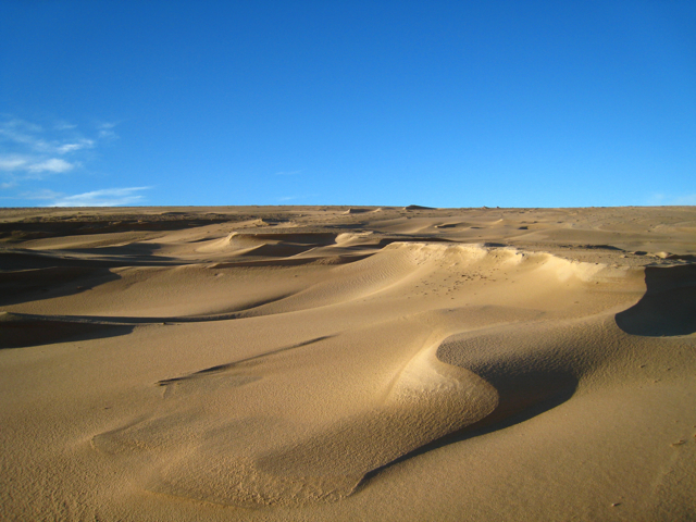 Newburgh: The Sands of Forvie © Martyn Gorman cc-by-sa/2.0 :: Geograph ...