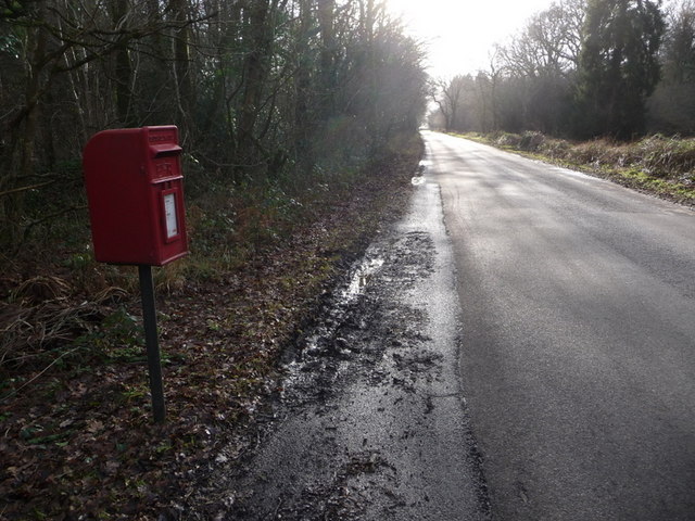 Leigh: postbox № DT9 98, Holm Bushes