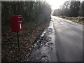 ST6310 : Leigh: postbox № DT9 98, Holm Bushes by Chris Downer