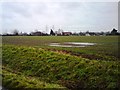 Farmland At Pettistree