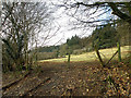 Countryside near Rhandirmwyn