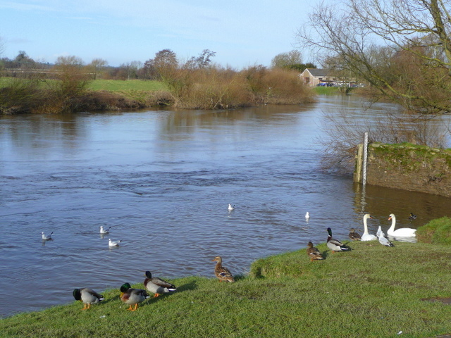 River Wye At The Riverside, Ross-on-Wye © Jonathan Billinger Cc-by-sa/2 ...